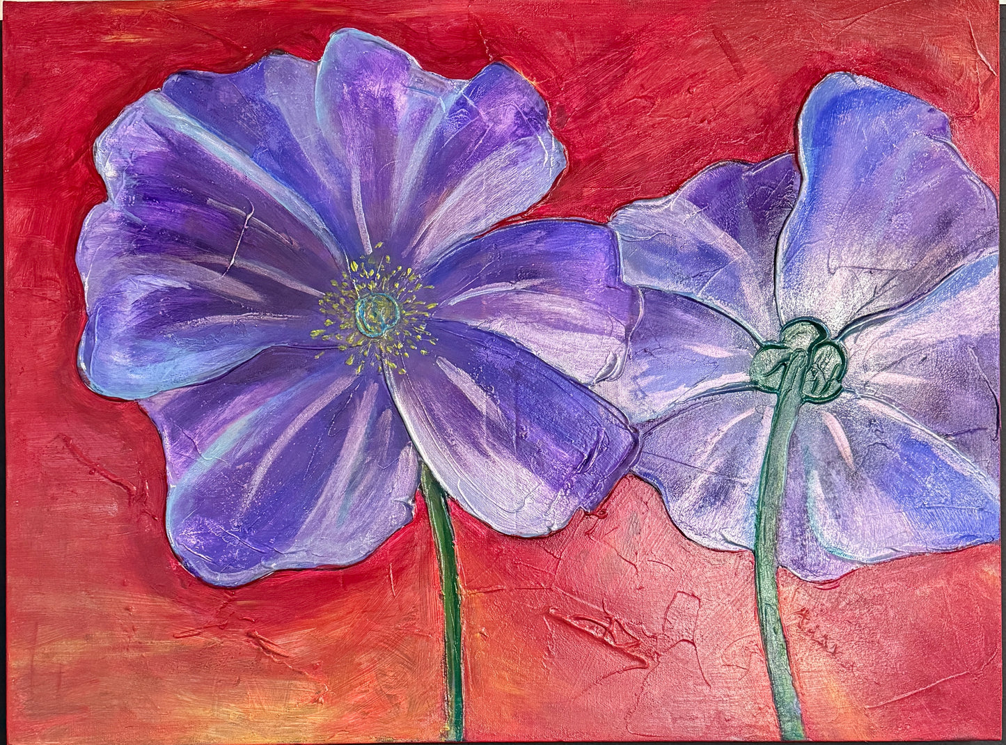 Pansy