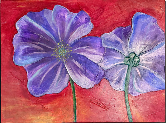 Pansy