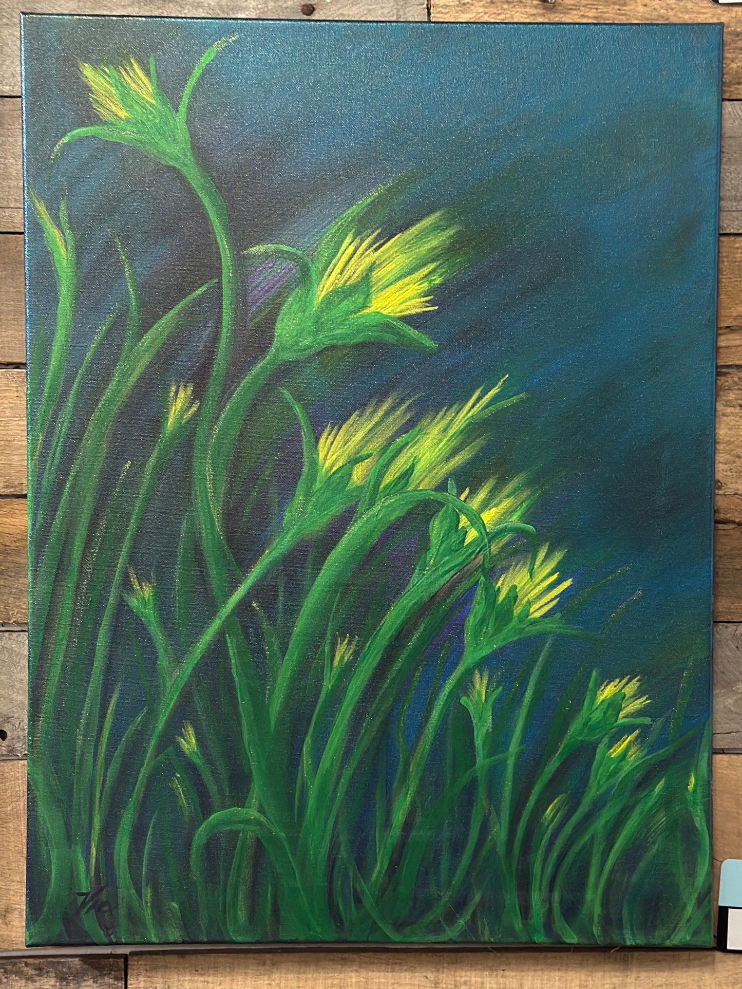 Dandelion